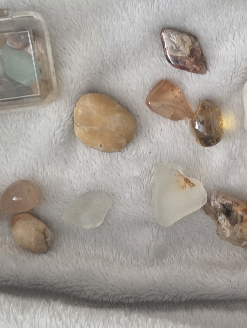 Random Shells - Picture 5 of 15